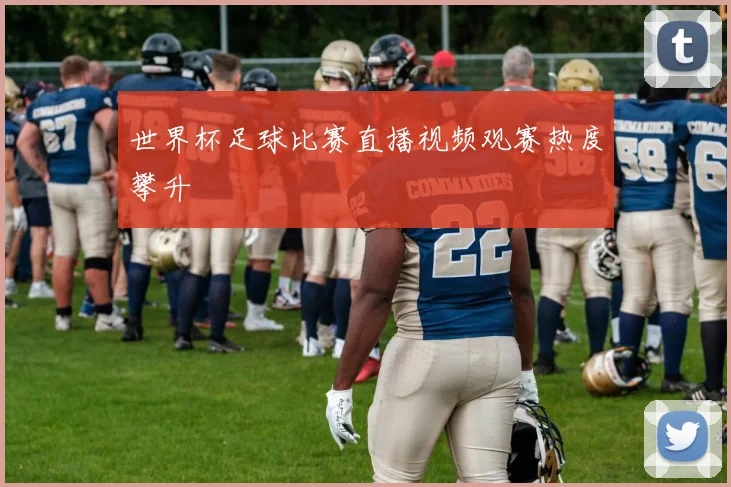 世界杯足球比赛直播视频观赛热度攀升