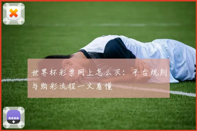世界杯彩票网上怎么买:平台规则与购彩流程一文看懂