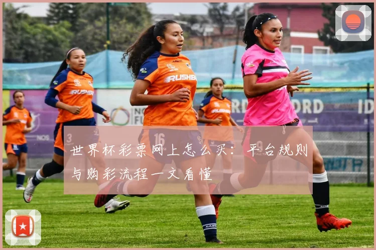 世界杯彩票网上怎么买：平台规则与购彩流程一文看懂