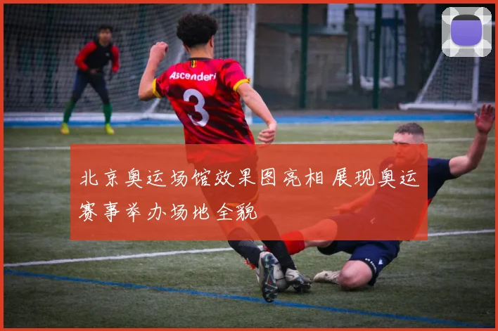 北京奥运场馆效果图亮相 展现奥运赛事举办场地全貌