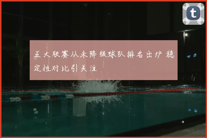 五大联赛从未降级球队排名出炉 稳定性对比引关注