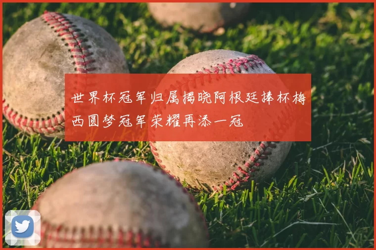 世界杯冠军归属揭晓阿根廷捧杯梅西圆梦冠军荣耀再添一冠