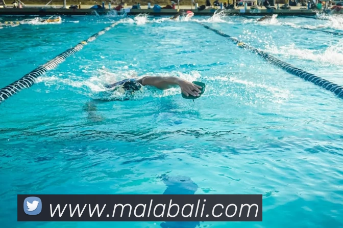 mk体育在线登录入口 - MK SPORTS平台生态图